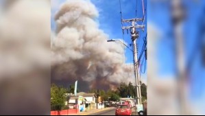 Declaran Alerta Roja en comuna de Navidad por incendio forestal y ordenan evacuar cuatro sectores
