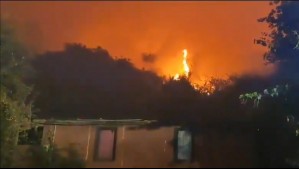 Al menos 32 casas y 3.000 hectáreas afectadas por incendios forestales en la región de O'Higgins