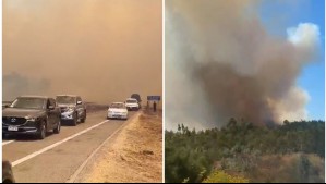 Corte total en Ruta 68 por incendio forestal que tiene en Alerta Roja a Valparaíso