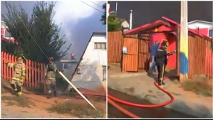 Incendios en región de Valparaíso: Vecinos intentan salvar sus casas en sector de Las Pataguas