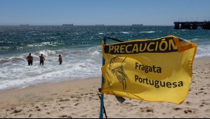 Presencia de Fragata Portuguesa: Decretan prohibición de baño y actividades marinas en otra playa de Coquimbo