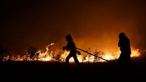 Incendios forestales: Despliegan equipos de seguridad en Viña del Mar ante denuncias por sospechosos