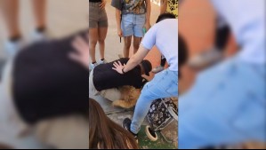 'Mira cómo te quiere': Captan emotivo reencuentro de perrito con su familia tras haber desaparecido durante incendios