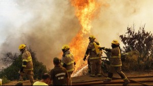 Tras emergencia en Viña: Experto detalla cómo determinar el origen de un incendio y si hubo intervención humana