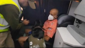 Perro policial detecta hombre con 3 kilos de cocaína en bus de Iquique a Santiago
