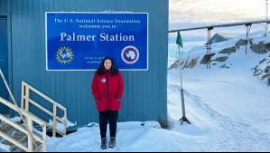 Con temperaturas de -10 °C: Chilena vivió 75 días en la Antártica para estudiar un pez de sangre transparente
