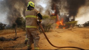 Llaman a evacuar sector de la comuna de San Pedro y declaran Alerta Roja por incendio forestal