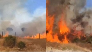 Solicitan evacuar sector de San Javier por incendio forestal