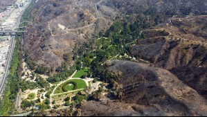 Imágenes muestran cómo quedó el Jardín Botánico de Viña del Mar tras los incendios forestales