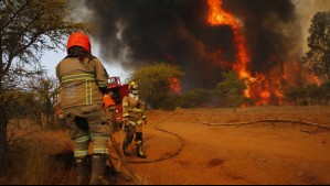 Alerta Roja por incendio forestal en Temuco: Fuego está próximo al Monumento Natural Cerro Ñielol