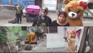 Aprovechando San Valentín: Policía se disfrazó de oso gigante para sorprender a narcotraficante y así detenerla