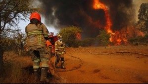 Incendio forestal amenaza a viviendas: Declaran Alerta Roja en la comuna de Hualqui