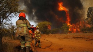 Senapred declara Alerta Roja para dos comunas del sur del país por incendio forestal