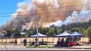 Senapred declara Alerta Roja para Traiguén por incendio forestal cercano a sectores residenciales