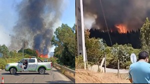 Piden evacuar sectores de la comuna de Purén por incendio forestal
