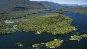 Venden enorme isla chilena virgen ubicada en la región de Aysén: Precio alcanza los 35 millones de dólares