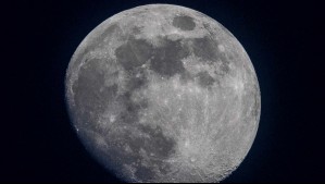 Compañía estadounidense tratará de convertirse en la primera empresa privada en llegar a la Luna