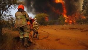 Declaran Alerta Roja: Incendio forestal en San Carlos se desarrolla cerca de sectores habitados