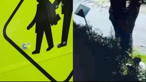 'Pistolero de La Reina': Buscan a vecino que sacó a pasear a su perro y disparó contra señalética sin motivos