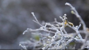 Menos lluvia y más frío: Pronostican que fenómeno de 'La Niña' llegaría en el segundo semestre