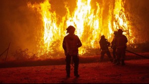 Senapred llama a evacuar dos sectores de la región del Biobío 'por incendio forestal'