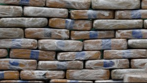 Contraloría fiscaliza rol de las instituciones en el control de drogas: En enero robaron 12 kilos de marihuana del SSMN