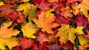 ¿Qué día y a qué hora empieza el otoño en Chile?