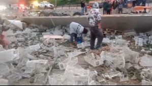 Video muestra a gente robando paltas desde camión volcado mientras servicios de emergencia desarrollaban labores