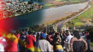 A 20 años de la muerte de cisnes en el río Valdivia: Los movimientos de Celco para flexibilizar la norma ambiental