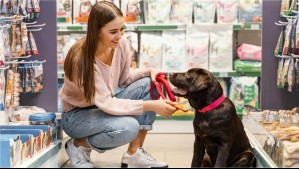 Cadena de tiendas de mascotas ofrece trabajos: Conoce cuáles son las ofertas laborales y cómo postular