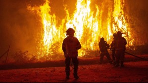 Por incendio forestal: Senapred solicita evacuar sectores de la comuna de Villarrica