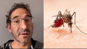 'El virus preocupa': Presidente del Colegio Médico de Valparaíso por presencia del dengue en Chile