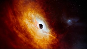 33 veces más grande que el sol: Descubren un agujero negro atípico en la Vía Láctea