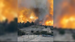 Alerta Roja en San Pedro por incendio forestal cercano a sectores habitados: Debieron evacuar un sector de la comuna