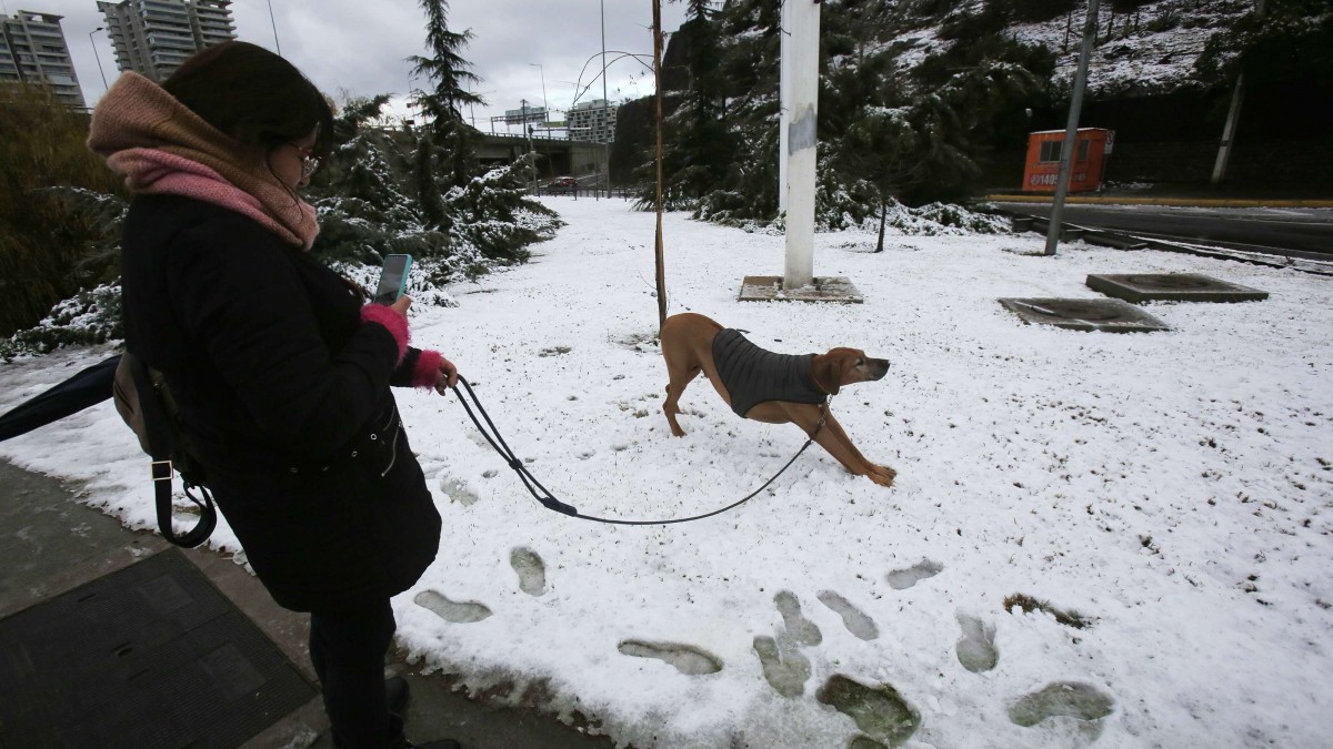 ¿Nieve en Santiago?: Meteorología emite aviso por probables nevadas en zonas de tres regiones del centro del país