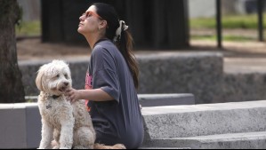 Diputados PS promueven 'Ley Duque' para permiso laboral por muerte de mascotas
