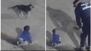 Bebé salió solo de su casa a las 4 de la mañana y fue 'cuidado' por su perro en Córdoba