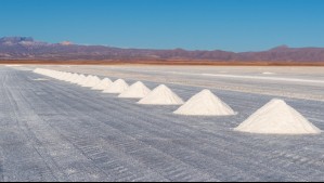 ¿Por qué BYD se ha demorado en instalar su planta de cátodos de litio en Chile?