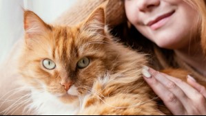 ¿Por qué los gatos prefieren a las mujeres? Esta es la respuesta de la ciencia