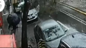 Imágenes muestran a árbol cayendo sobre auto en centro de Santiago: Dos mujeres resultaron lesionadas