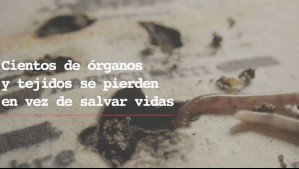 'Comida para gusanos': Polémica por campaña del Minsal para incentivar la donación de órganos