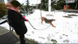 Fin de semana con nieve: Conoce las zonas donde se esperan nevazones