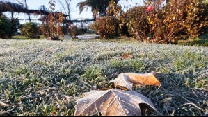 Meteorología emite avisos de 'heladas normales a moderadas' para zonas de seis regiones del país