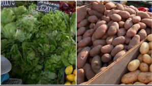 Suben las lechugas, papas y cebollas: Conoce el precio que alcanzaron algunas verduras tras las lluvias