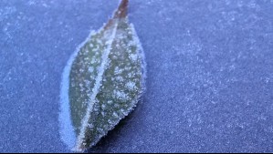 'A abrigarse': Temperaturas mínimas en Santiago se mantendrán muy bajas durante el resto de la semana