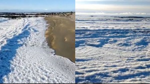 Video muestra al mar completamente congelado en la Patagonia: Alejandro Sepúlveda explica el fenómeno