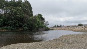 Declaran Alerta Roja en cuatro comunas de la región de Los Ríos por desborde