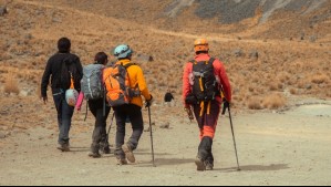 Patagonia Chile busca trabajadores: Revisa los puestos de trabajo que ofrece la empresa de ropa outdoor