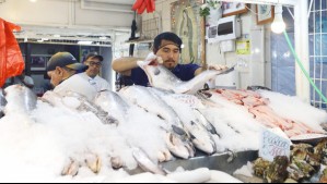 Polémica por indicación que declara a las especies marinas como 'sintientes' en la nueva Ley de Pesca