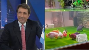 Periodista argentino se burla de indicación sobre peces sintientes y repasa a la Roja: 'Podrían ir a la Selección'
